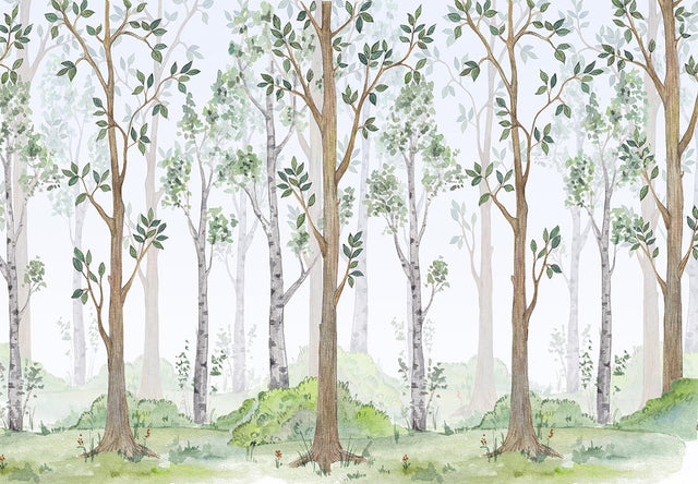 Magical Woodland World