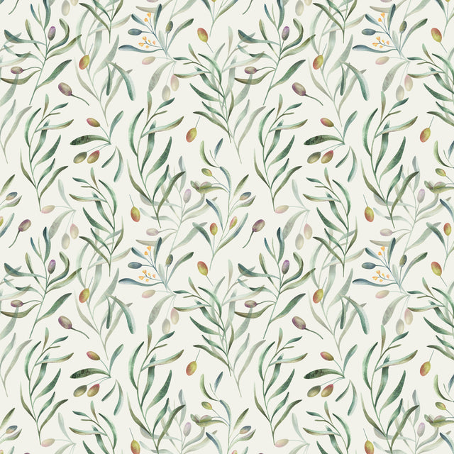 Olive Grove