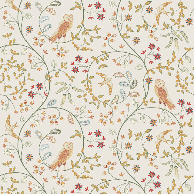 Owls and Shallows