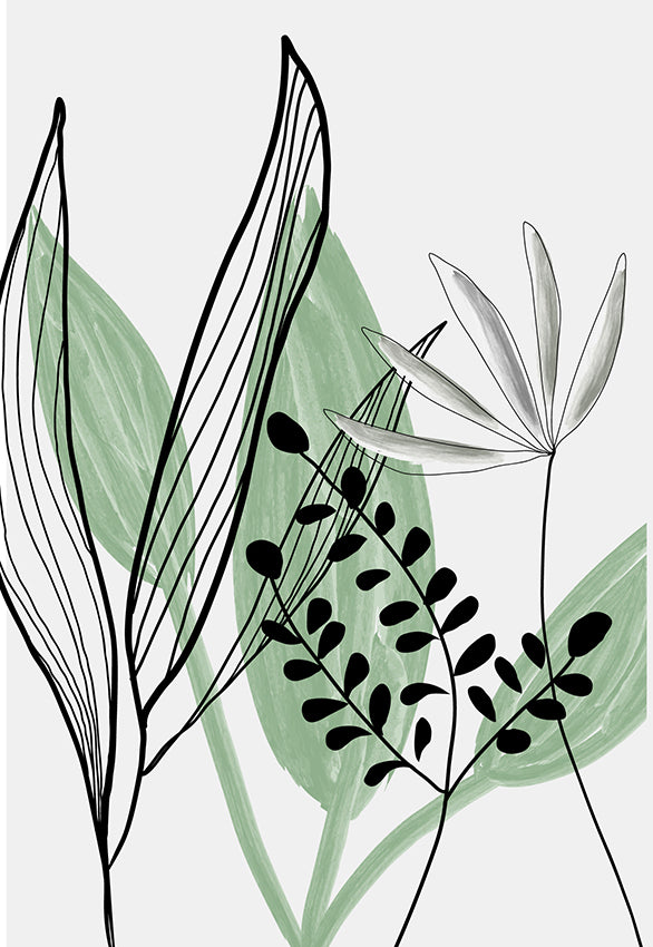 Tall Reed 2