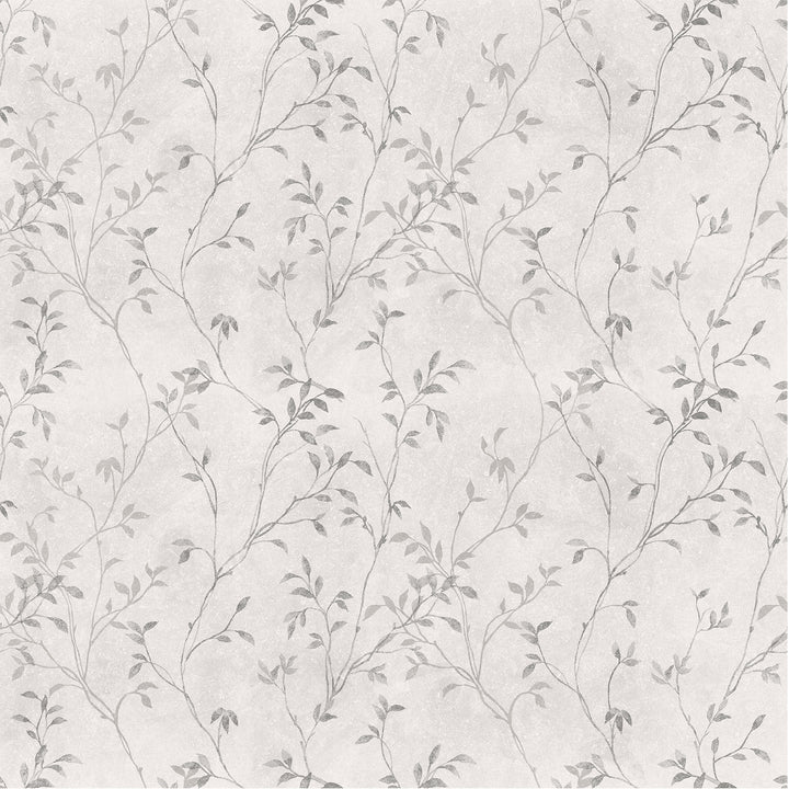 Product card second image.